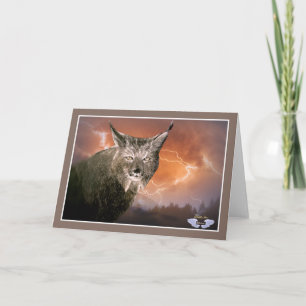 Tarjeta Lynx en una tormenta de luz