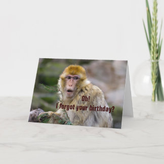 Tarjeta Macaca sylvanus