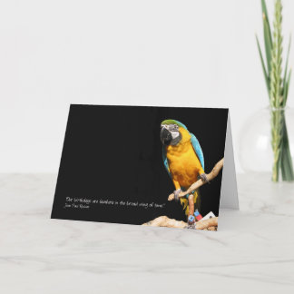 Tarjeta Macaw para todas las ocasiones