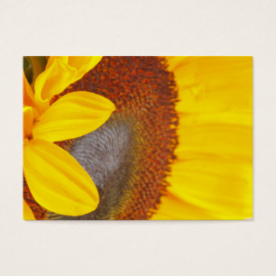Tarjeta macra del perfil del girasol