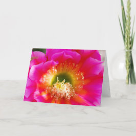 Tarjeta Macro De Flor Suculenta