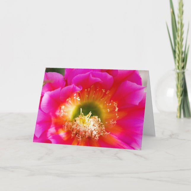 Tarjeta Macro De Flor Suculenta (Anverso)