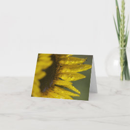 Tarjeta Macro Sunflower