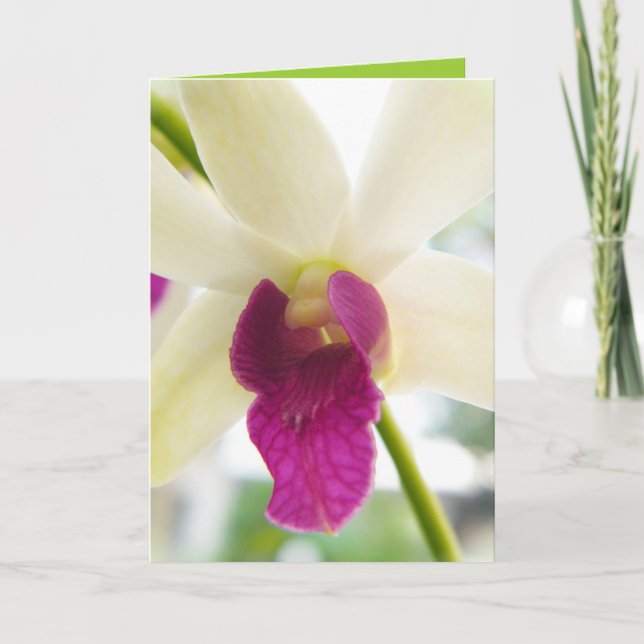 Tarjeta Madame Orchid (Anverso)