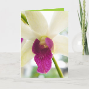 Tarjeta Madame Orchid