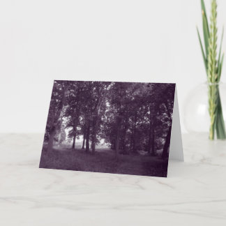Tarjeta Madera, Bute Park Cardiff - BW morado