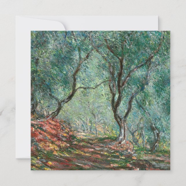 Tarjeta Madera de olivo en los jardines de Moreno (por Mon (Anverso)