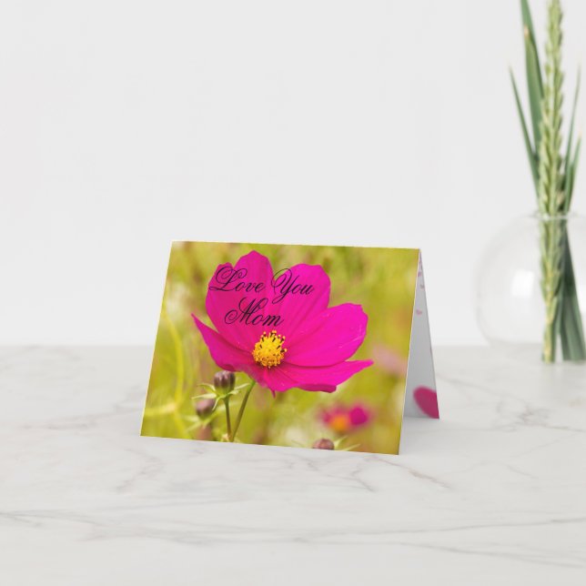 Tarjeta Madre (Anverso)