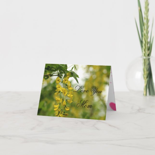 Tarjeta Madre (Anverso)