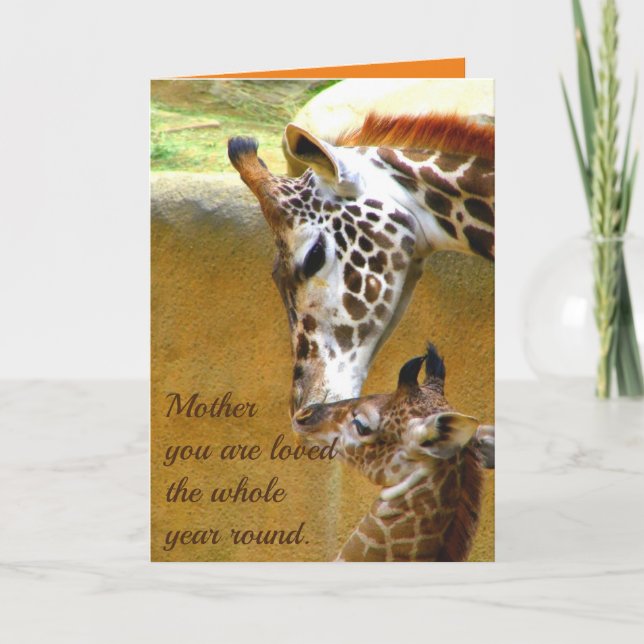 Tarjeta madre (Anverso)