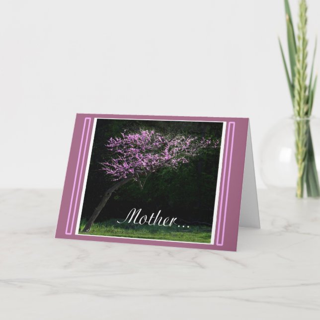 Tarjeta Madre (Anverso)