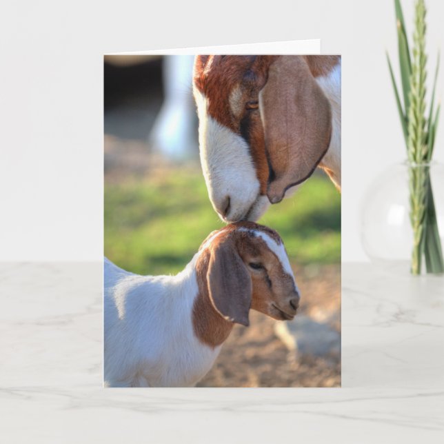 Tarjeta Madre cabra y bebé (Anverso)