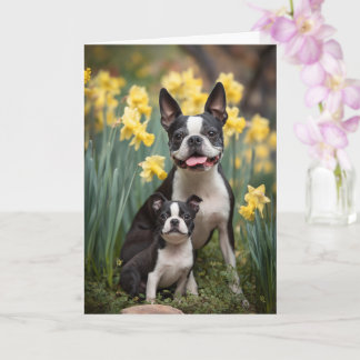 Tarjeta Madre de Boston Terrier Día de la Madre Amor