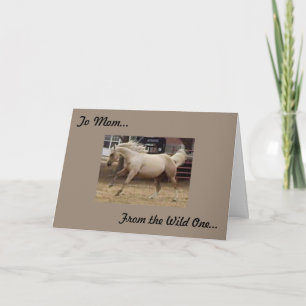 Tarjeta Madre - De la salvaje