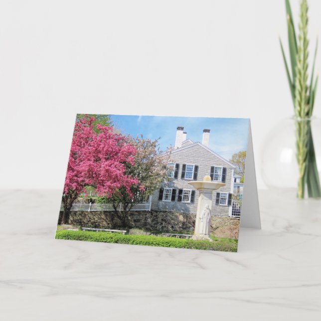 Tarjeta Madre de peregrino, boca de boca, primavera de MAM (Anverso)