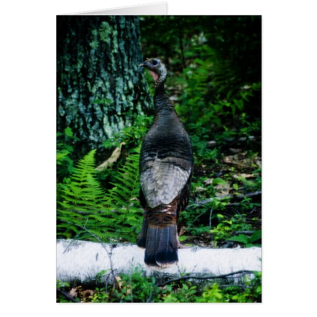 Tarjeta madre de Turquía (Frente)