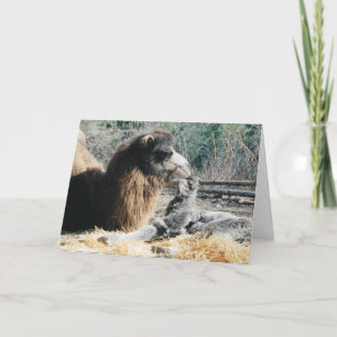 Tarjeta Madre e hijo