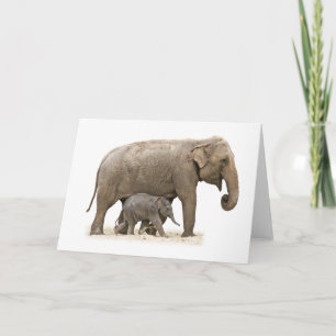 Tarjeta Madre e hijo elefante