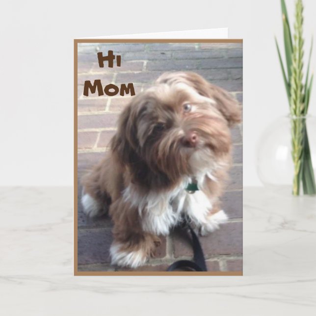 TARJETA **MADRE** EN EL CUMPLEAÑOS DE UN NIÑO JOVEN (Anverso)