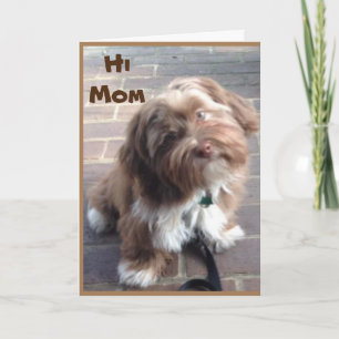 TARJETA **MADRE** EN EL CUMPLEAÑOS DE UN NIÑO JOVEN