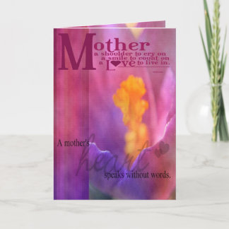 Tarjeta Madre especial