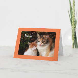 Tarjeta Madre Gata Y Gatito