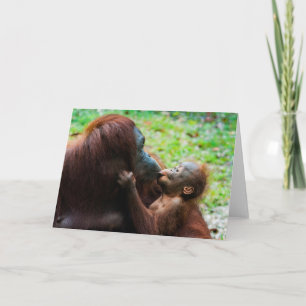 Tarjeta Madre orangután con bebé