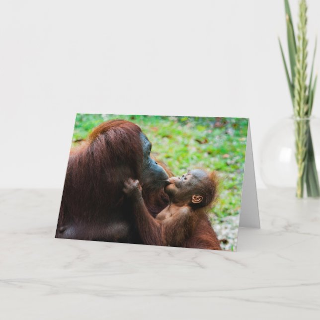 Tarjeta Madre orangután con bebé (Anverso)
