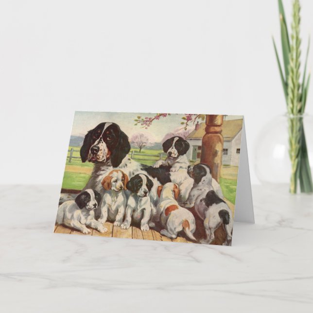 Tarjeta madre Springer spaniel y cachorros (Anverso)