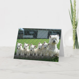 Tarjeta Madre Westie y Cachorros