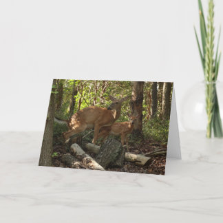 Tarjeta Madre y ciervo bebé en el Parque Nacional Shenando