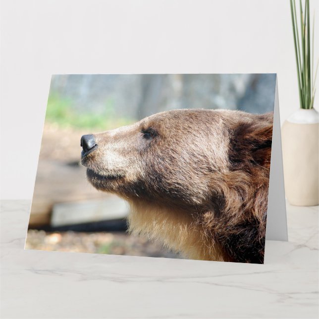 Tarjeta Maestro Bruin (Anverso)