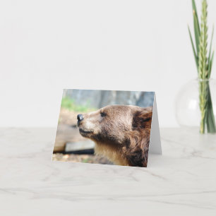 Tarjeta Maestro Bruin