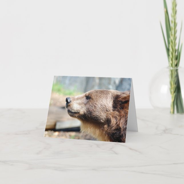 Tarjeta Maestro Bruin (Anverso)
