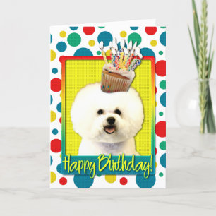 Tarjeta Magdalena del cumpleaños - Bichon Frise