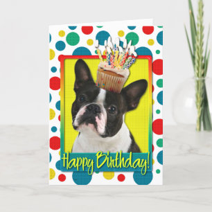 Tarjeta Magdalena del cumpleaños - Boston Terrier