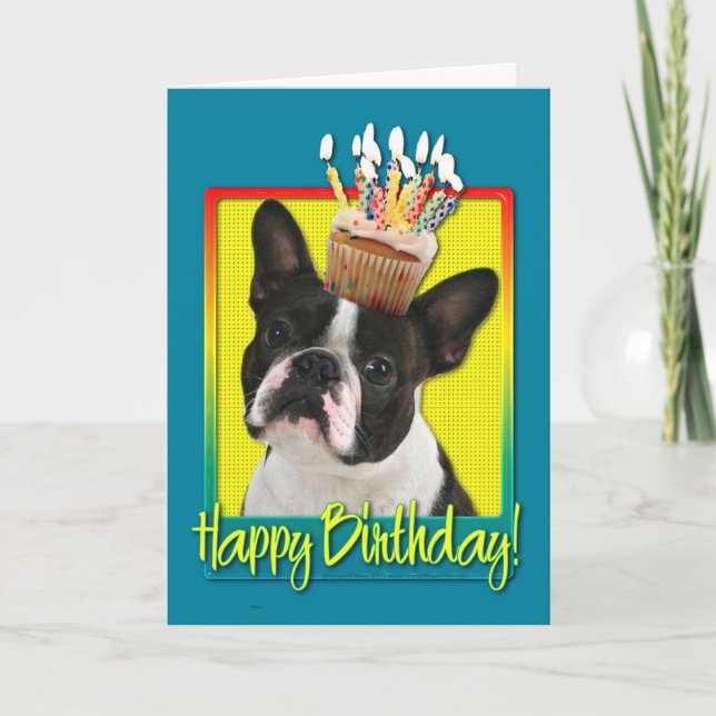 Tarjeta Magdalena del cumpleaños - Boston Terrier (Anverso)