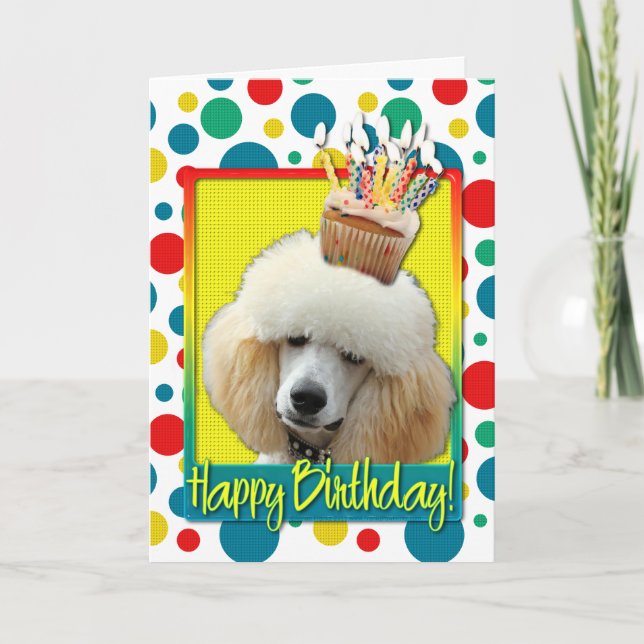 Tarjeta Magdalena del cumpleaños - caniche - albaricoque (Anverso)