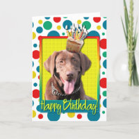 Magdalena del cumpleaños - Labrador - chocolate
