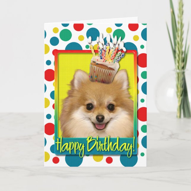 Tarjeta Magdalena del cumpleaños - Pomeranian (Anverso)