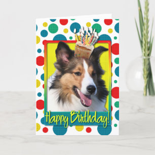 Tarjeta Magdalena del cumpleaños - Sheltie