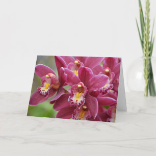 Tarjeta Magenta Orchids Blank Note Card