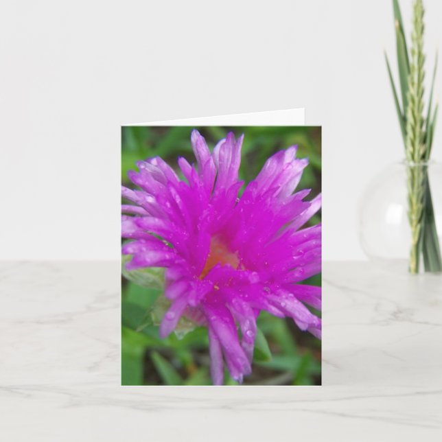 Tarjeta Magenta Pigface (Anverso)