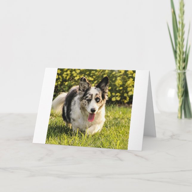 Tarjeta Maggie Mae (Anverso)