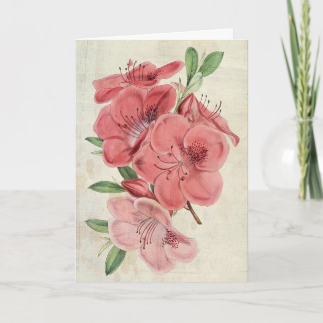 Tarjeta Magnet Botánico Vintage Azalea (Anverso)