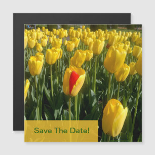 Tarjeta magnética amarilla Tulips