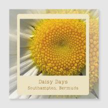 Tarjeta magnética Bermuda Daisy