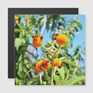 Tarjeta magnética de abejas en el trabajo