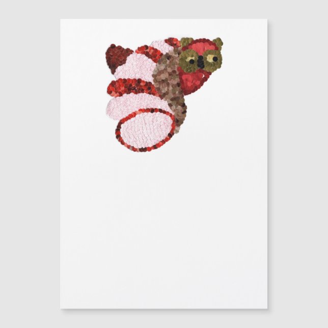 Tarjeta magnética de búho (Anverso)