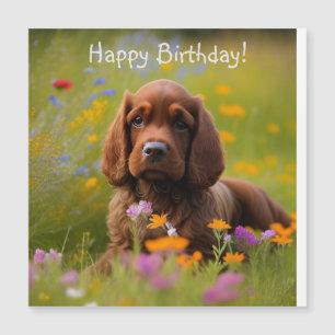 Tarjeta magnética de Cocker Spaniel